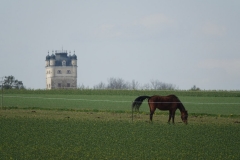 Allentsteig_DSC09673