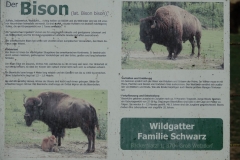 Bison-Ranch_DSC01262