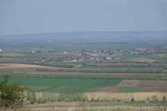 Galgenberg_DSC09552