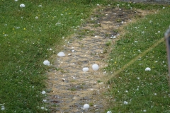 Hagelunwetter_20210624DSC00462