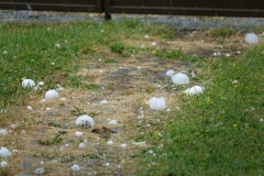 Hagelunwetter_20210624DSC00469