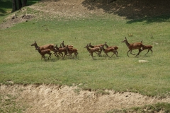 Heldenberg_DSC01038