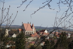 Libellenteich_DSC09475